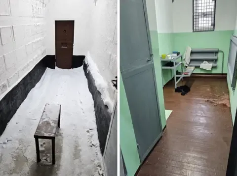 Examinations Reveal the opposition leader Suffered Poisoning During Imprisonment, His Wife Asserts