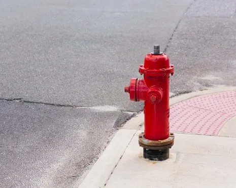 Back in 2009, Which famous figure Smashed a Luxury SUV Straight into a Fire Hydrant?