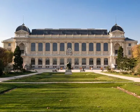 Historic Gold Specimens Stolen in Daring Robbery at France's Natural History Institution