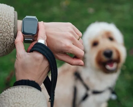 The Truth Regarding Smartwatches? Life Improves Lacking a Hectoring Device on Your Wrist